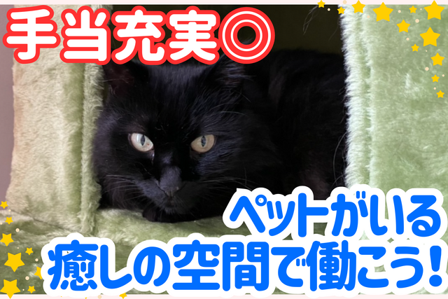 株式会社AAA　住宅型有料老人ホームはぁとWANの求人・転職情報
