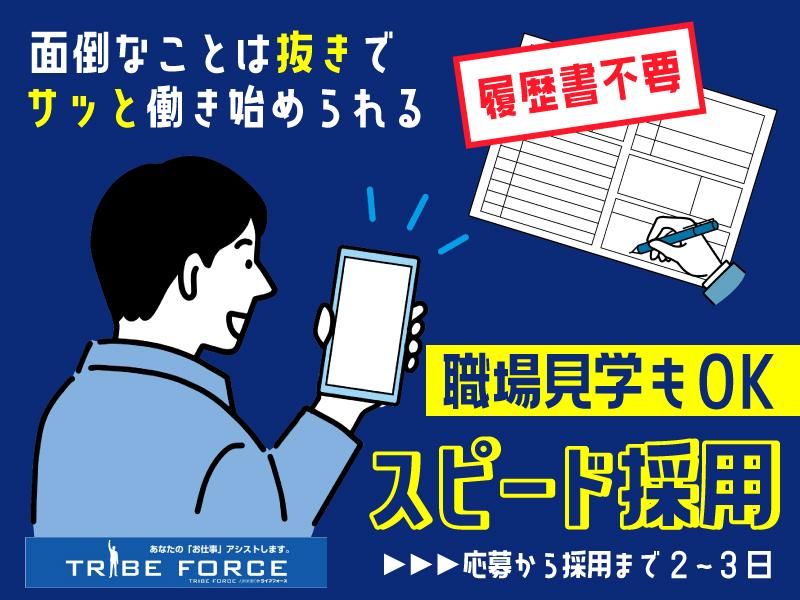 株式会社トライブフォースの派遣求人情報