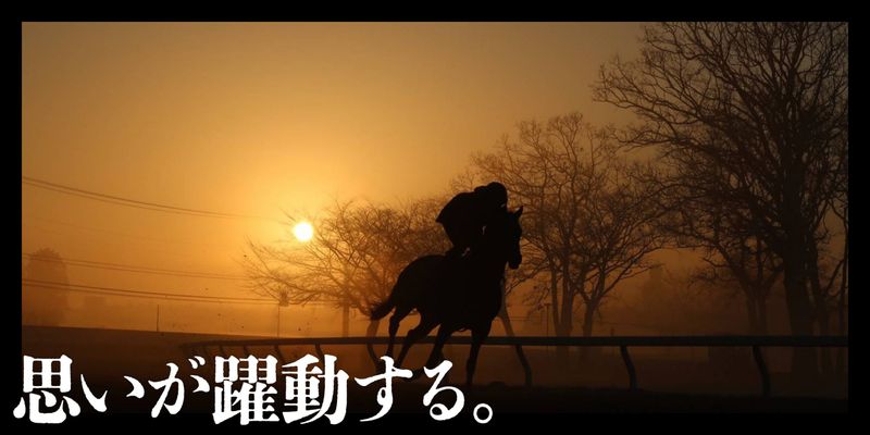 有限会社チェスナットファームの求人・転職情報