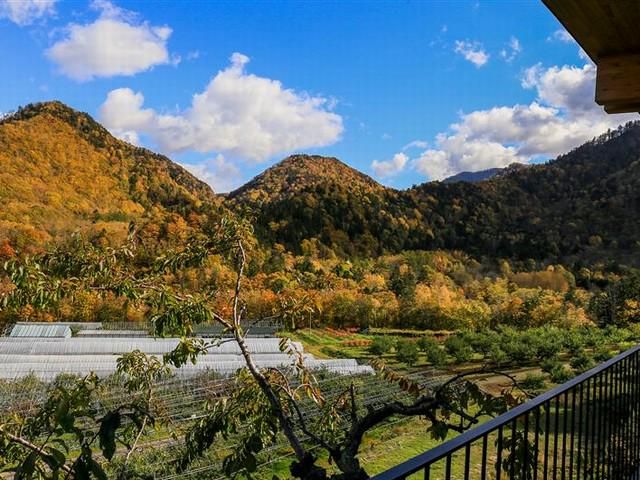 長谷川ファーム北海道株式会社の求人・転職情報