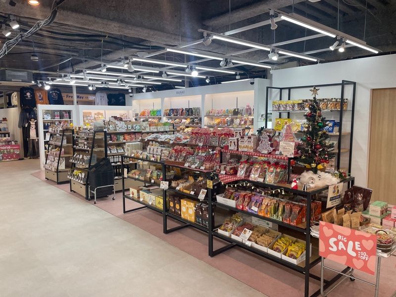 HANAU・ハナウの派遣求人情報