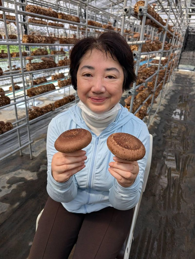 一般社団法人市一舎-0004の求人・転職情報