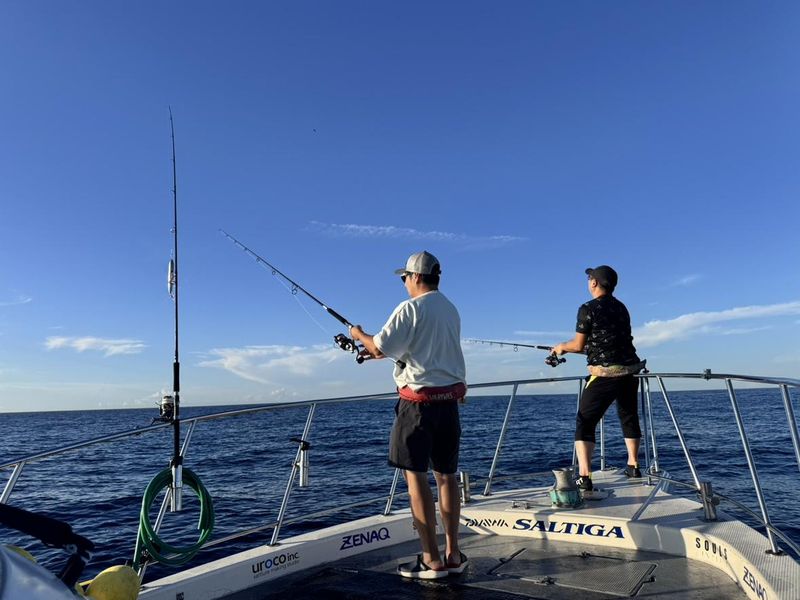 株式会社ソヴリックコーポレーションの求人・転職情報