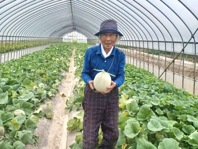 せたな町の求人・転職情報