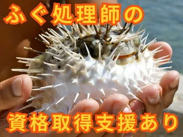 株式会社最上鮮魚の求人・転職情報
