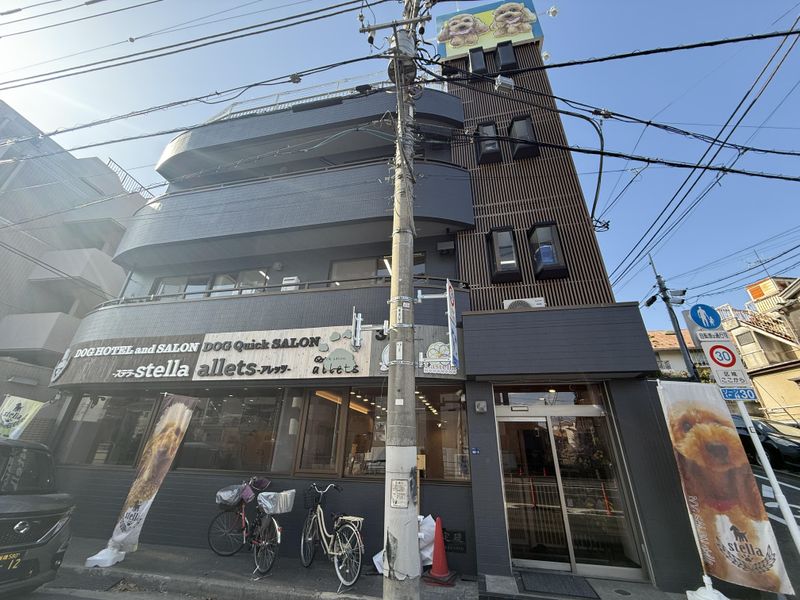 ｓｔｅｌｌａ８３株式会社の求人・転職情報