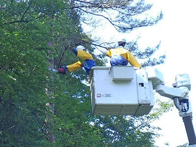 有限会社　東播電工の求人・転職情報