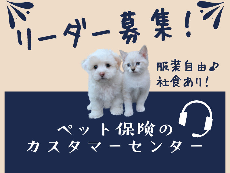 SocioFuture WIT株式会社の求人・転職情報