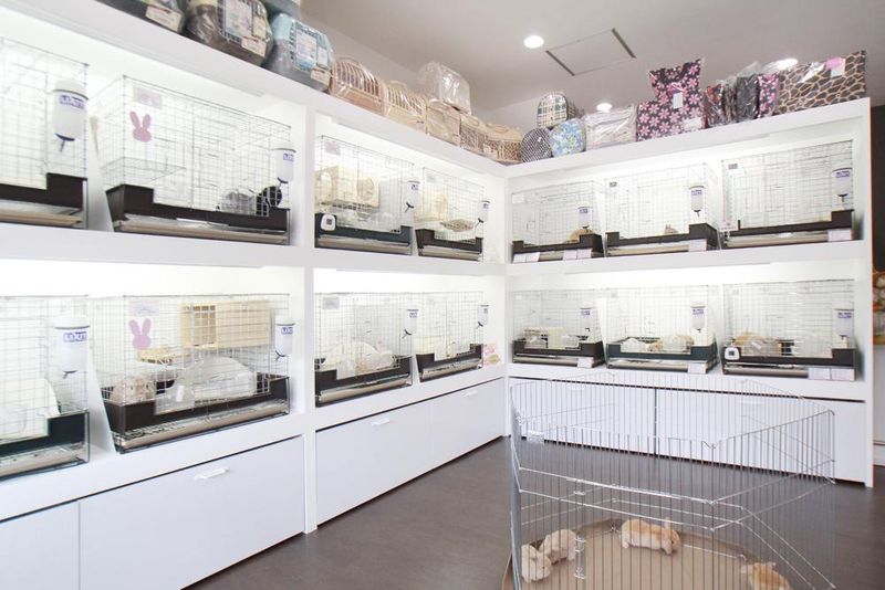 kikimimiのアルバイト・バイト求人情報-02