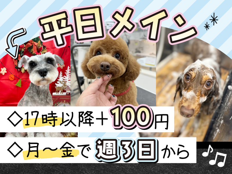ニコペット春日部店の派遣求人情報
