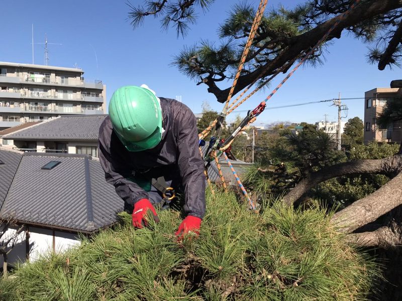 株式会社本橋造園の求人・転職情報