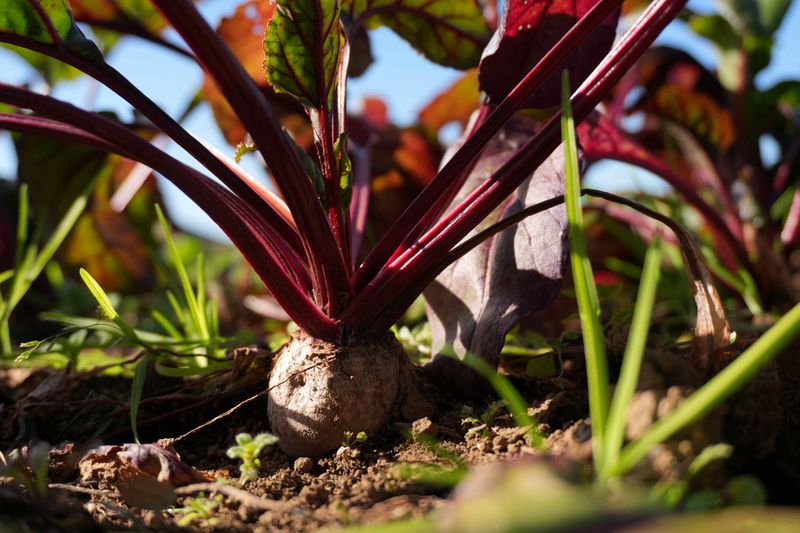 GONNA DAYS 東急吉祥寺店のアルバイト・バイト求人情報-04