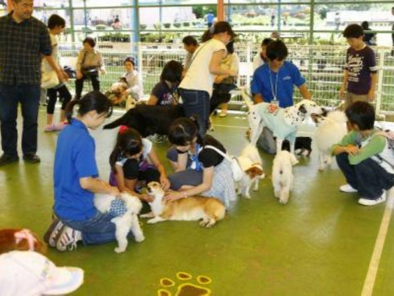 株式会社つくばわんわんランドのアルバイト・バイト求人情報-03