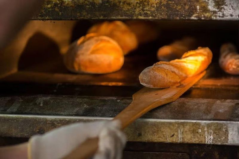 株式会社キャスロン1984の求人・転職情報