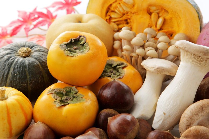 株式会社チェッカーサポート　トキハインダストリー春日浦フードスタジアムのアルバイト・バイト求人情報-02