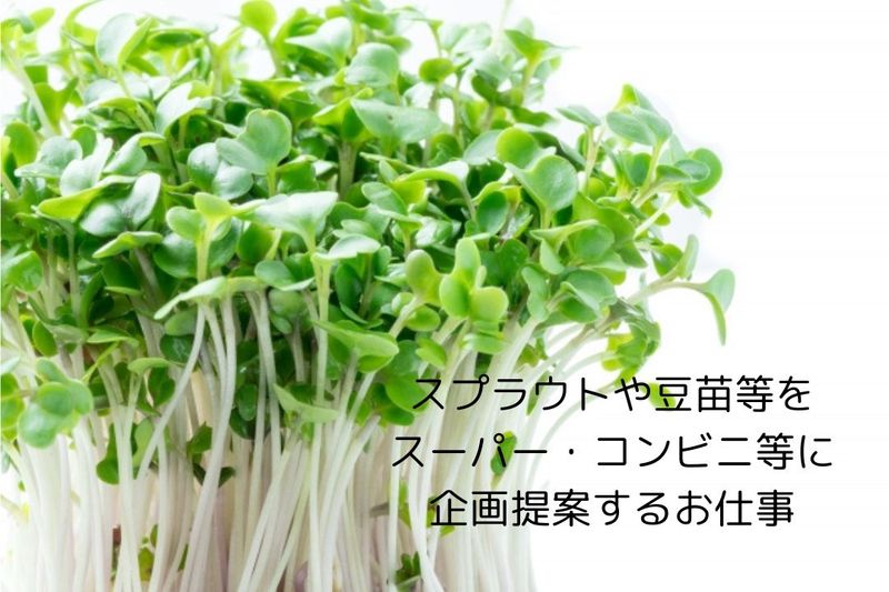 しごと計画学校の求人・転職情報