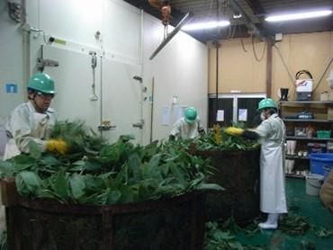 株式会社大和生物研究所　蓼科工場のアルバイト・バイト求人情報-03