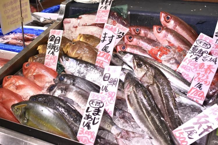 ヤマトサカナ株式会社　東京ヘッドオフィスのアルバイト・バイト求人情報-02