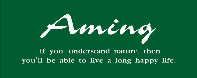 アミング長野南高田店のアルバイト・バイト求人情報-04