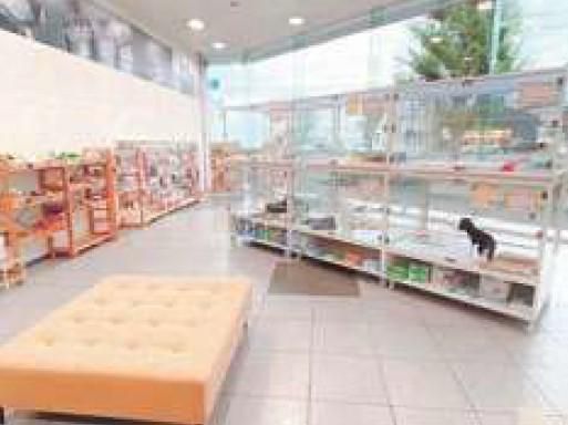 ハルズコーポレーション株式会社　ペットショップWAN　岡山店のアルバイト・バイト求人情報-03