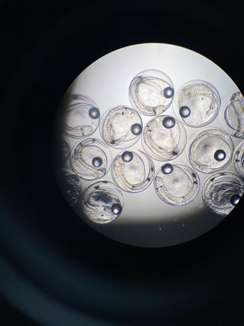 バイオ愛媛株式会社