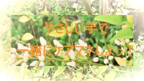 (株)やさしい手　姫路居宅介護支援事業所のアルバイト・バイト求人情報-03