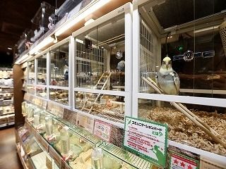 ペットの専門店コジマ　アリオ市原店のアルバイト・バイト求人情報-04