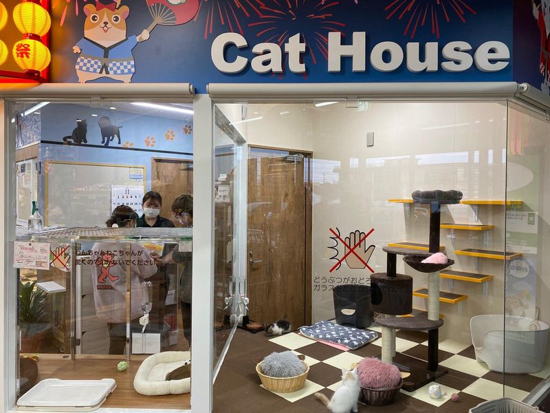 犬の家　アミーゴ高岡蓮花寺店(株式会社犬の家)のアルバイト・バイト求人情報-05