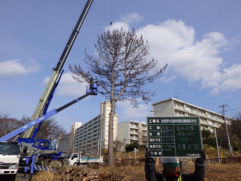 有限会社加藤紅萩園の求人情報