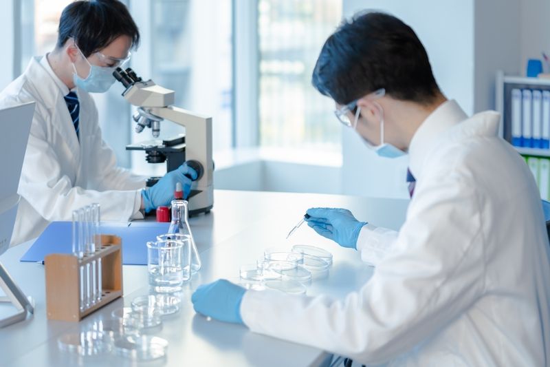 株式会社ニジイロクリエイトの求人・転職情報