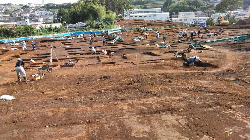 国際文化財株式会社