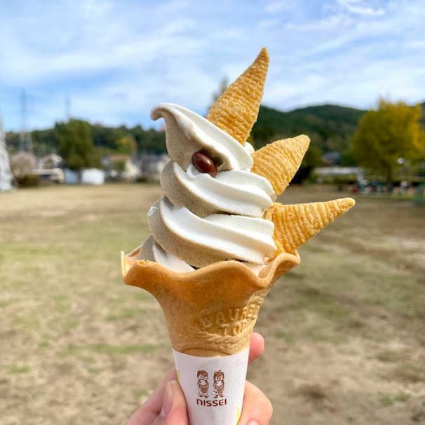 ふれあい広場(恐竜公園)のアルバイト・バイト求人情報-03