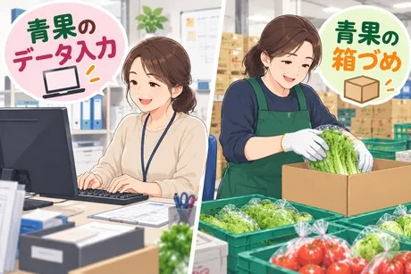 ヒューマンステージ株式会社の派遣求人情報