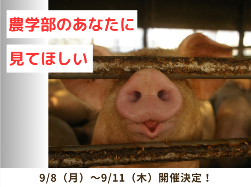 有限会社環境テクシス