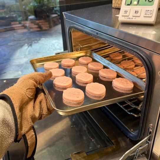 株式会社エモテントの求人・転職情報