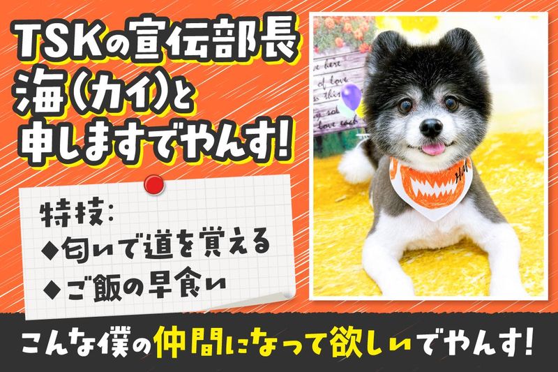 ＴＳＫ合同会社-0002の求人・転職情報