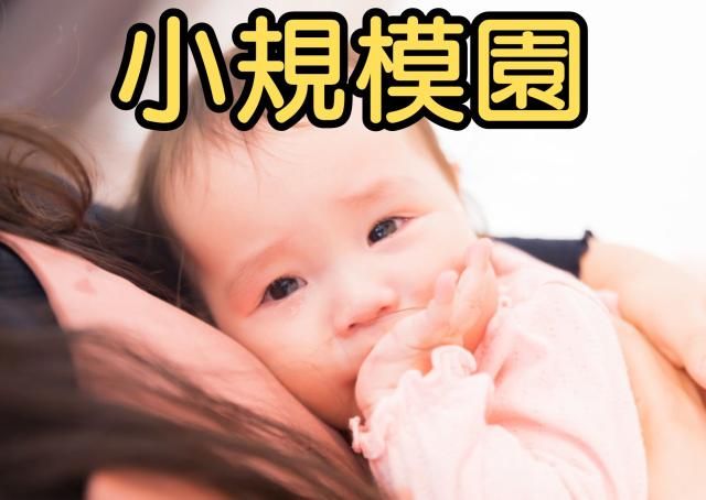 株式会社オペレーションナーサリー どんぐりルーム甲子園の求人・転職情報
