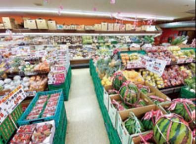 株式会社サンフレッシュ　八百丸　中の島店の求人情報