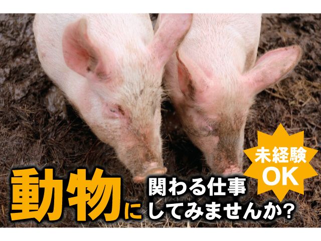 有限会社郡司畜産の求人・転職情報