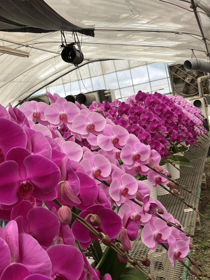 岡山農場のアルバイト・バイト求人情報-03