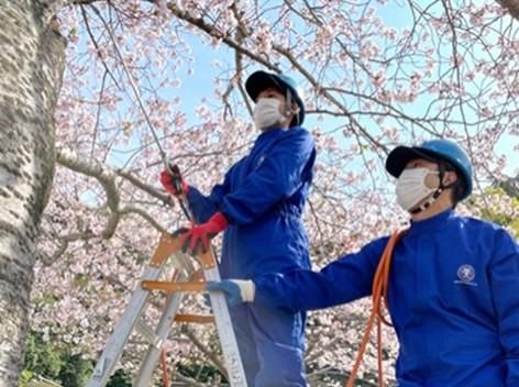 株式会社日本衛生センターの求人・転職情報