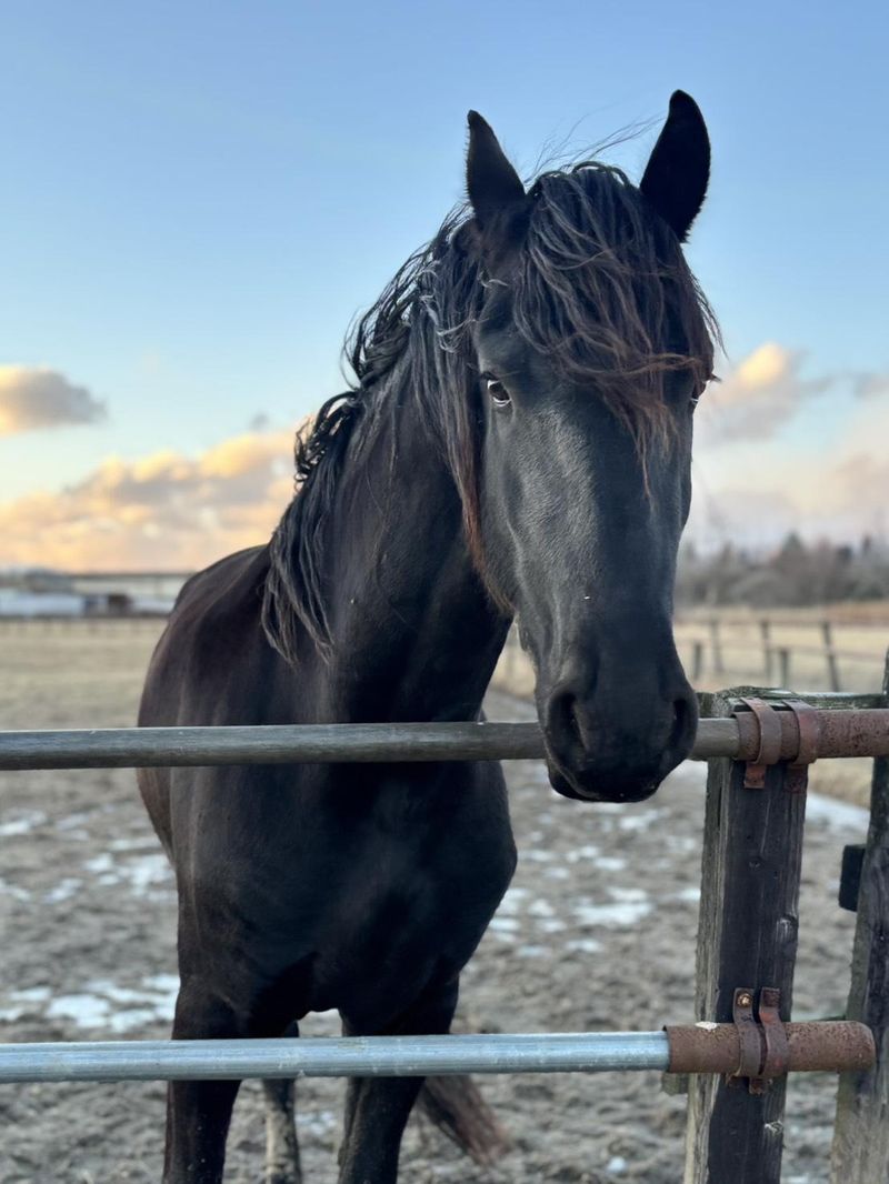 有限会社慎洸の求人・転職情報