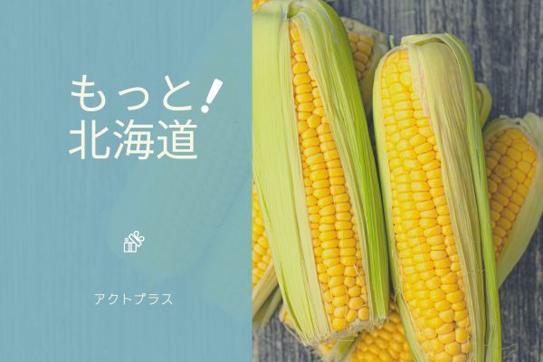 株式会社アクトプラスのアルバイト・バイト求人情報-12