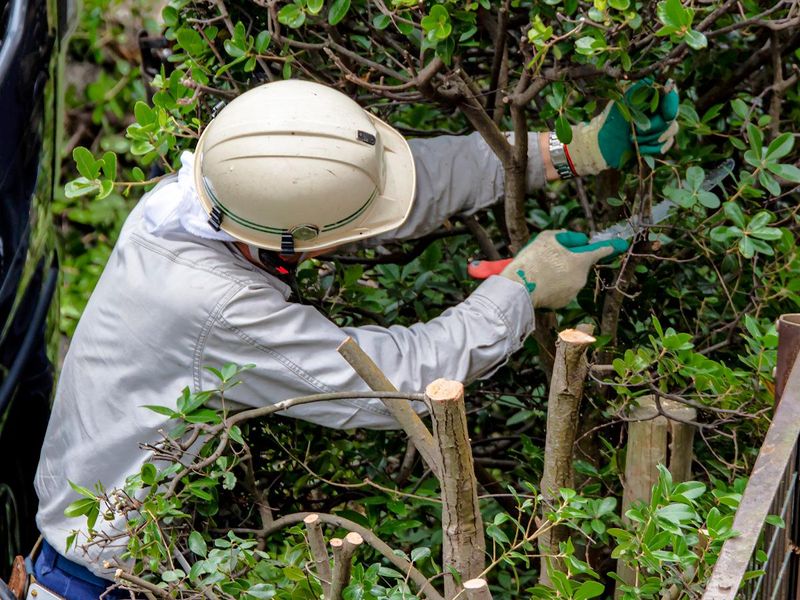 株式会社サンエイ産業の求人・転職情報