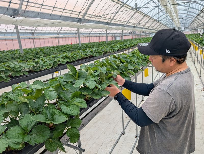 JA静岡市　無料職業紹介所のアルバイト・バイト求人情報-03