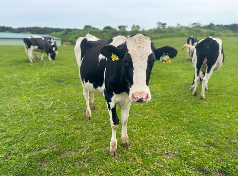 株式会社メディカル技研のアルバイト・バイト求人情報-05