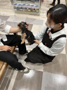 コーナン堺三国ヶ丘店内ペットショップコーナーのアルバイト・バイト求人情報-05