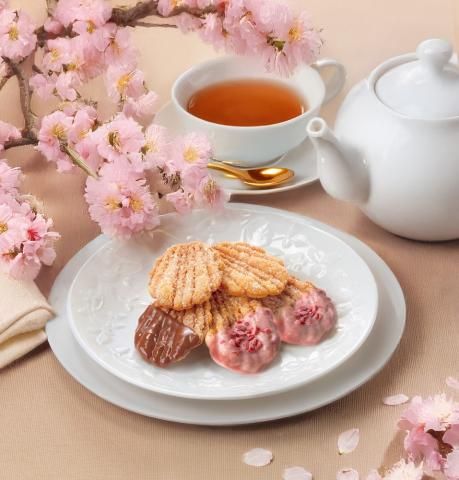 株式会社西洋菓子鹿鳴館の求人・転職情報