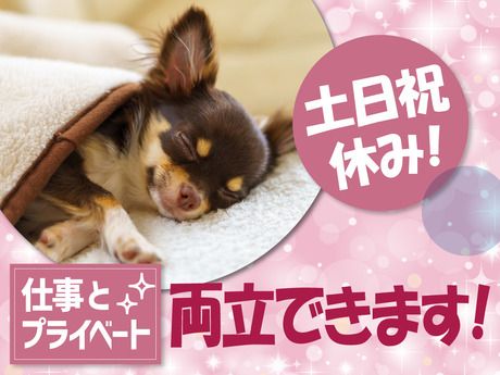 SGフィルダー株式会社 千葉エリア　/W23990-014のアルバイト・バイト求人情報-35