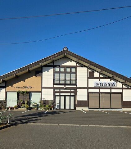 有限会社シブヤの求人・転職情報